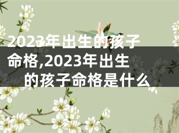 2023年出生的孩子命格,2023年出生的孩子命格是什么