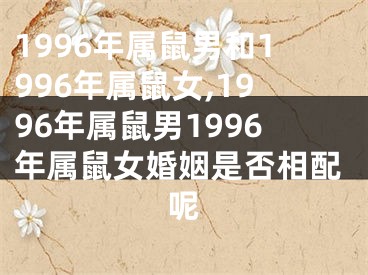 1996年属鼠男和1996年属鼠女,1996年属鼠男1996年属鼠女婚姻是否相配呢