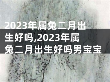 2023年属兔二月出生好吗,2023年属兔二月出生好吗男宝宝