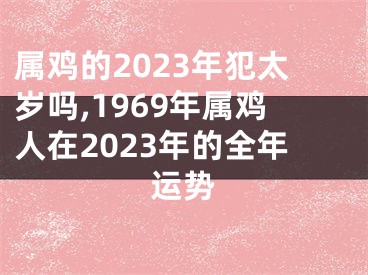 属鸡的2023年犯太岁吗,1969年属鸡人在2023年的全年运势