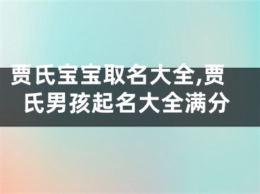 贾氏宝宝取名大全,贾氏男孩起名大全满分