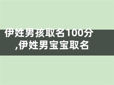 伊姓男孩取名100分,伊姓男宝宝取名