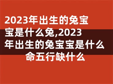 2023年出生的兔宝宝是什么兔,2023年出生的兔宝宝是什么命五行缺什么