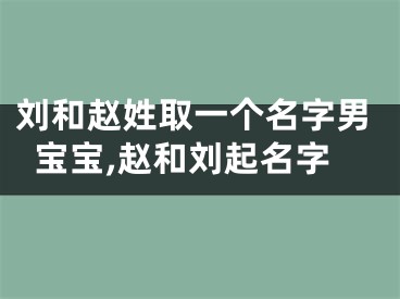 刘和赵姓取一个名字男宝宝,赵和刘起名字