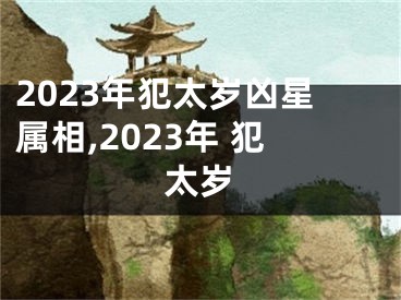 2023年犯太岁凶星属相,2023年 犯太岁