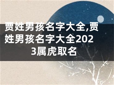 贾姓男孩名字大全,贾姓男孩名字大全2023属虎取名