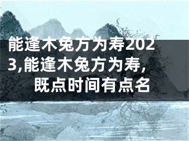 能逢木兔方为寿2023,能逢木兔方为寿,既点时间有点名