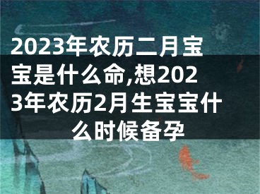 2023年农历二月宝宝是什么命,想2023年农历2月生宝宝什么时候备孕