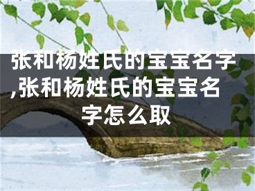 张和杨姓氏的宝宝名字,张和杨姓氏的宝宝名字怎么取