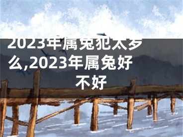 2023年属兔犯太岁么,2023年属兔好不好