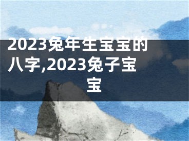 2023兔年生宝宝的八字,2023兔子宝宝