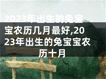 2023年出生的兔宝宝农历几月最好,2023年出生的兔宝宝农历十月