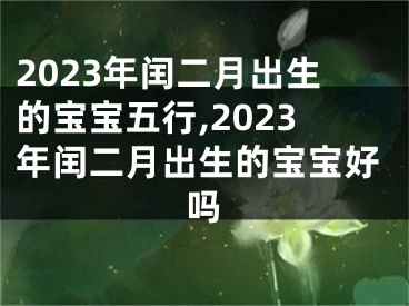 2023年闰二月出生的宝宝五行,2023年闰二月出生的宝宝好吗