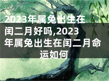 2023年属兔出生在闰二月好吗,2023年属兔出生在闰二月命运如何