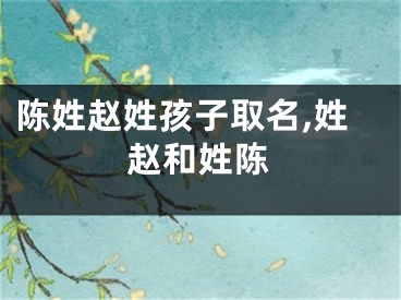 陈姓赵姓孩子取名,姓赵和姓陈