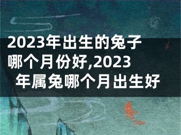 2023年出生的兔子哪个月份好,2023年属兔哪个月出生好