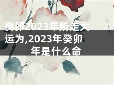 癸卯2023年所走大运为,2023年癸卯年是什么命