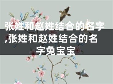 张姓和赵姓结合的名字,张姓和赵姓结合的名字兔宝宝