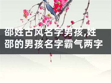 邵姓古风名字男孩,姓邵的男孩名字霸气两字