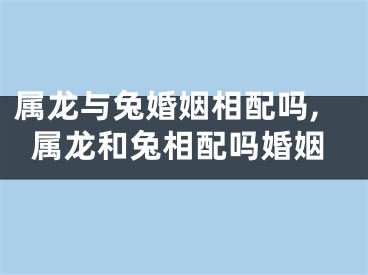 属龙与兔婚姻相配吗,属龙和兔相配吗婚姻