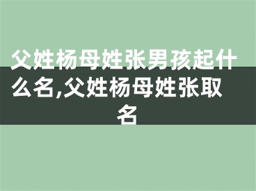 父姓杨母姓张男孩起什么名,父姓杨母姓张取名