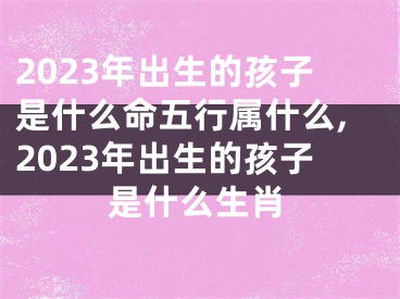 2023年出生的孩子是什么命五行属什么,2023年出生的孩子是什么生肖