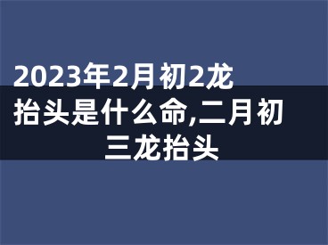 2023年2月初2龙抬头是什么命,二月初三龙抬头