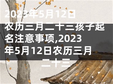 2023年5月12日农历三月二十三孩子起名注意事项,2023年5月12日农历三月二十三