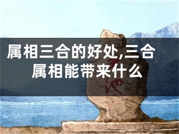 属相三合的好处,三合属相能带来什么