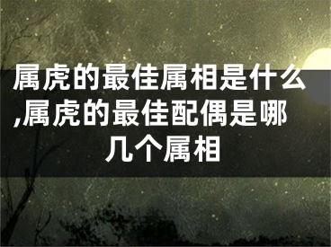 属虎的最佳属相是什么,属虎的最佳配偶是哪几个属相