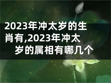 2023年冲太岁的生肖有,2023年冲太岁的属相有哪几个