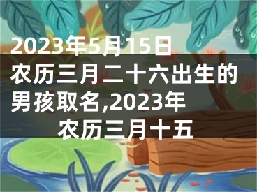 2023年5月15日农历三月二十六出生的男孩取名,2023年农历三月十五