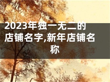 2023年独一无二的店铺名字,新年店铺名称