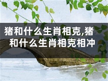 猪和什么生肖相克,猪和什么生肖相克相冲