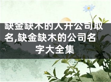 缺金缺木的人开公司取名,缺金缺木的公司名字大全集