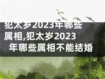 犯太岁2023年哪些属相,犯太岁2023年哪些属相不能结婚