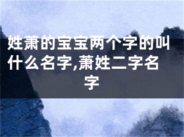 姓萧的宝宝两个字的叫什么名字,萧姓二字名字