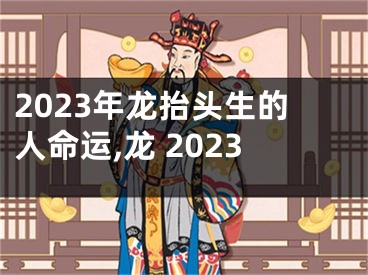 2023年龙抬头生的人命运,龙 2023