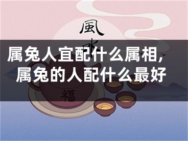 属兔人宜配什么属相,属兔的人配什么最好