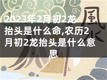 2023年2月初2龙抬头是什么命,农历2月初2龙抬头是什么意思