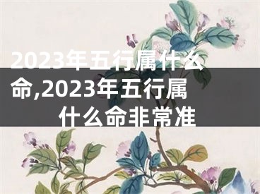 2023年五行属什么命,2023年五行属什么命非常准