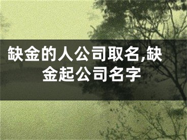 缺金的人公司取名,缺金起公司名字