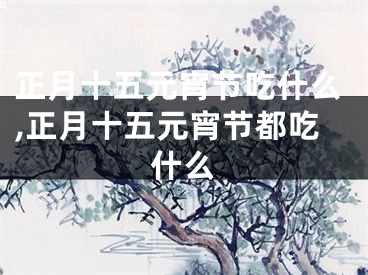 正月十五元宵节吃什么,正月十五元宵节都吃什么