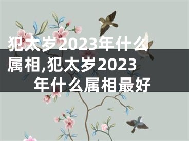 犯太岁2023年什么属相,犯太岁2023年什么属相最好