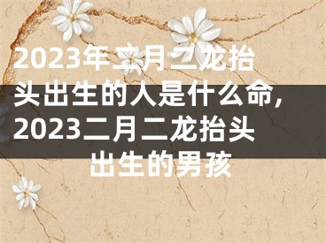 2023年二月二龙抬头出生的人是什么命,2023二月二龙抬头出生的男孩