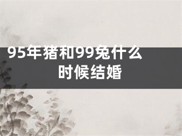 95年猪和99兔什么时候结婚