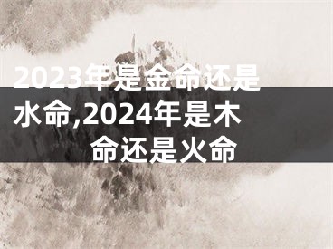 2023年是金命还是水命,2024年是木命还是火命