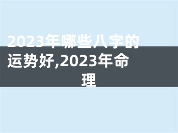 2023年哪些八字的运势好,2023年命理