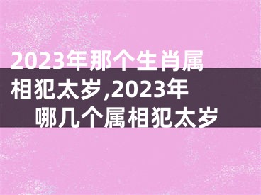 2023年那个生肖属相犯太岁,2023年哪几个属相犯太岁