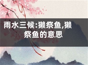 雨水三候:獭祭鱼,獭祭鱼的意思